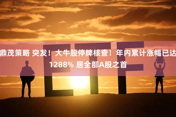鼎茂策略 突发！大牛股停牌核查！年内累计涨幅已达1288% 居全部A股之首